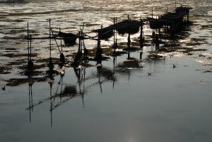 My Venice - low tide in lagoon